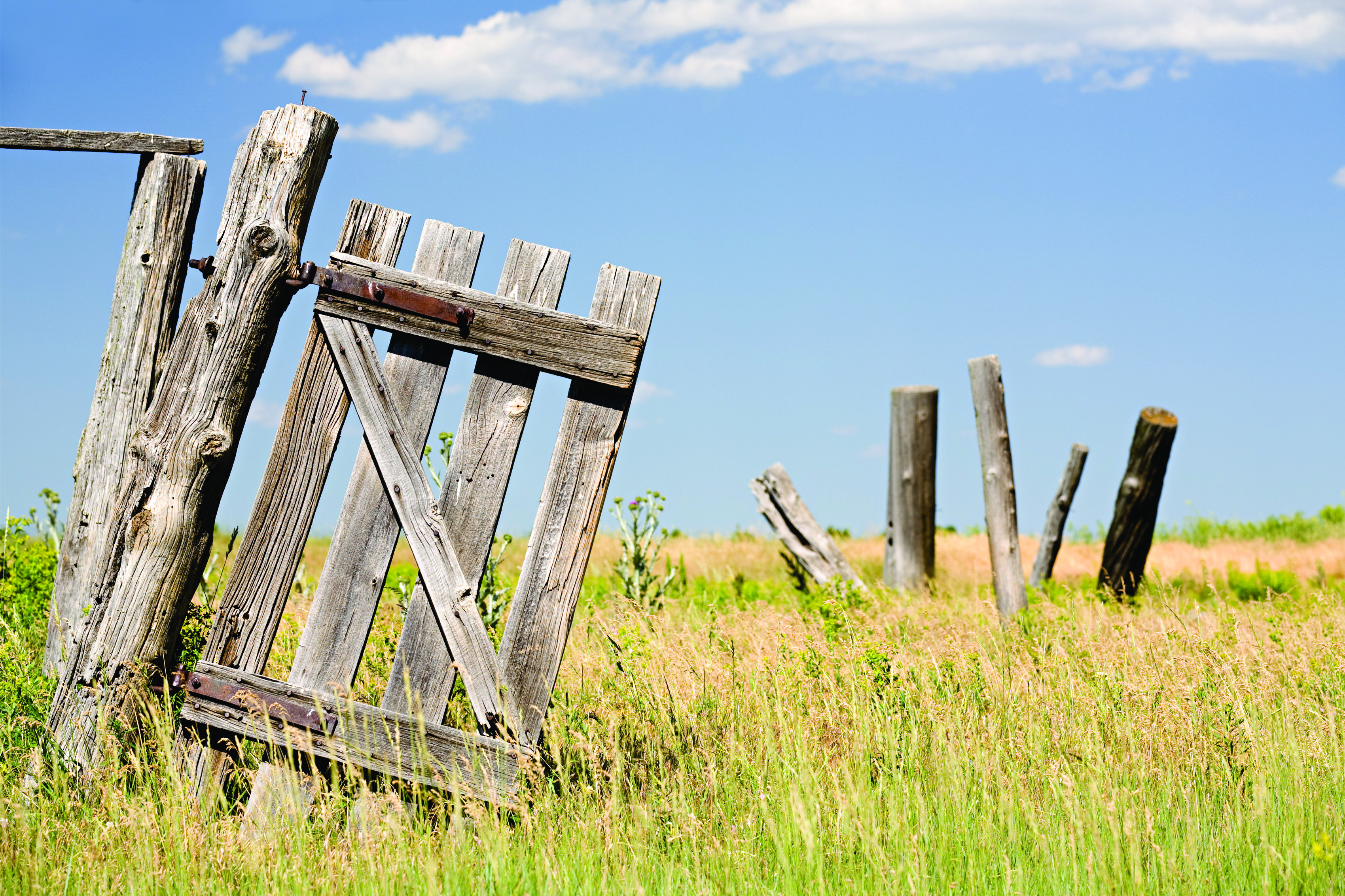 Broken field. Field and Wooden Fence. Post a photo.